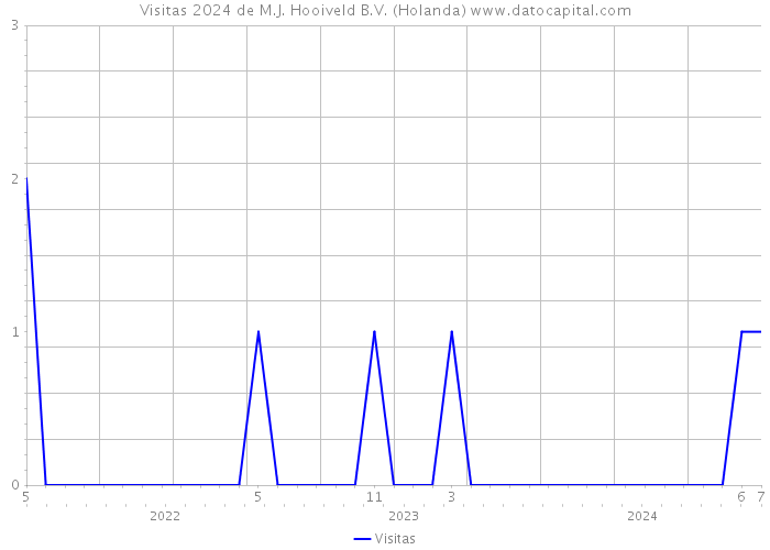 Visitas 2024 de M.J. Hooiveld B.V. (Holanda) 