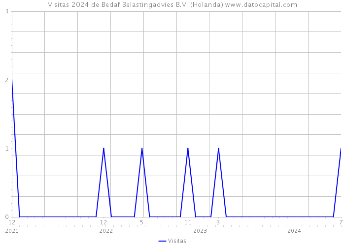 Visitas 2024 de Bedaf Belastingadvies B.V. (Holanda) 