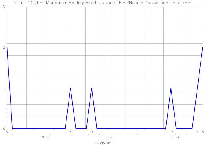 Visitas 2024 de Mondriaan Holding Heerhugowaard B.V. (Holanda) 