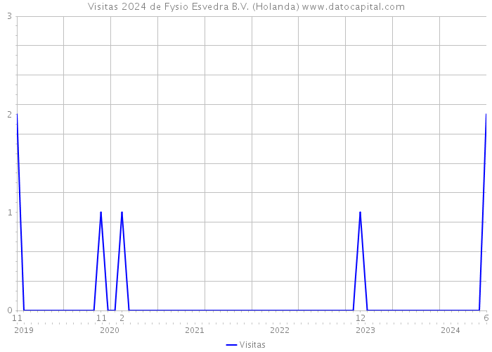 Visitas 2024 de Fysio Esvedra B.V. (Holanda) 