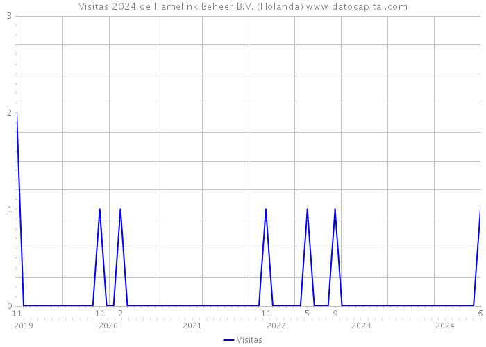 Visitas 2024 de Hamelink Beheer B.V. (Holanda) 