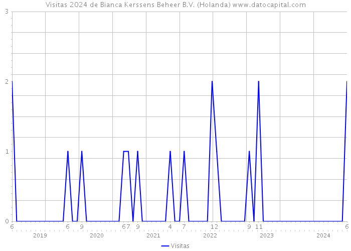 Visitas 2024 de Bianca Kerssens Beheer B.V. (Holanda) 