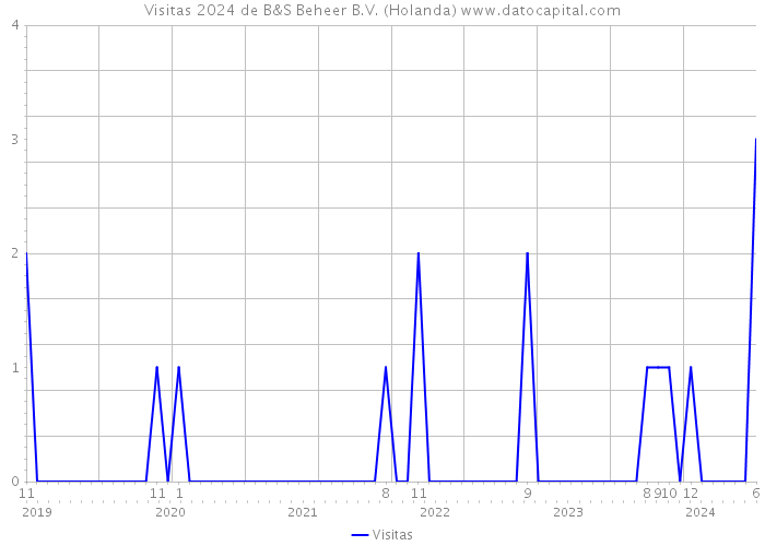 Visitas 2024 de B&S Beheer B.V. (Holanda) 