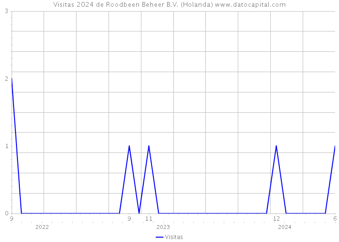 Visitas 2024 de Roodbeen Beheer B.V. (Holanda) 