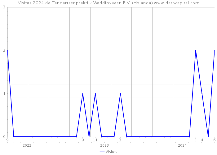 Visitas 2024 de Tandartsenpraktijk Waddinxveen B.V. (Holanda) 