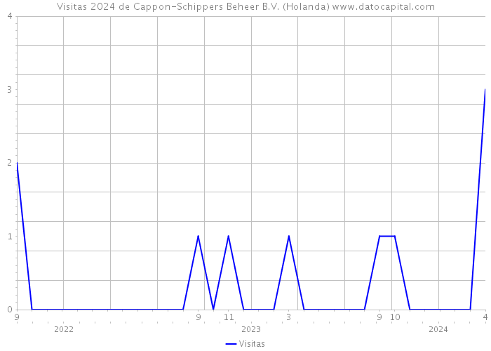 Visitas 2024 de Cappon-Schippers Beheer B.V. (Holanda) 
