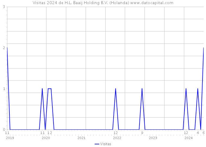 Visitas 2024 de H.L. Baaij Holding B.V. (Holanda) 