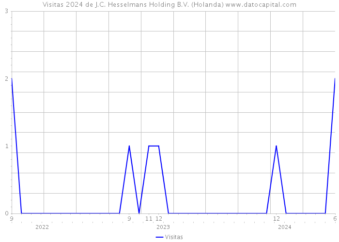 Visitas 2024 de J.C. Hesselmans Holding B.V. (Holanda) 