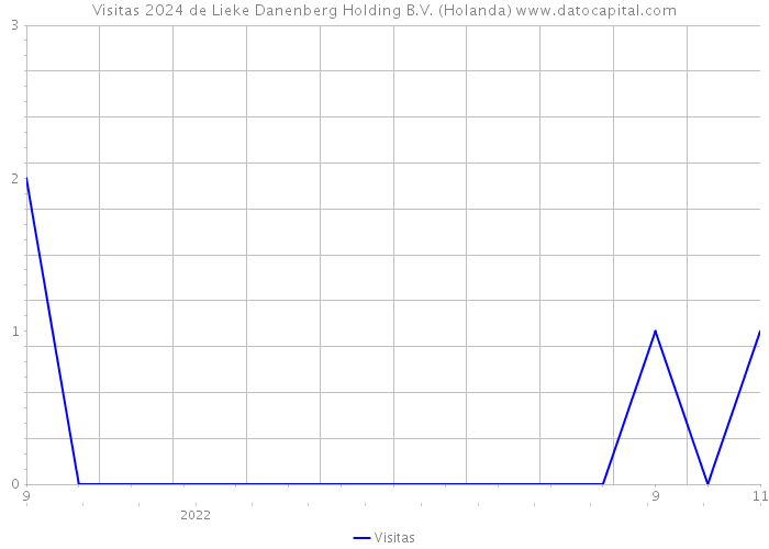 Visitas 2024 de Lieke Danenberg Holding B.V. (Holanda) 