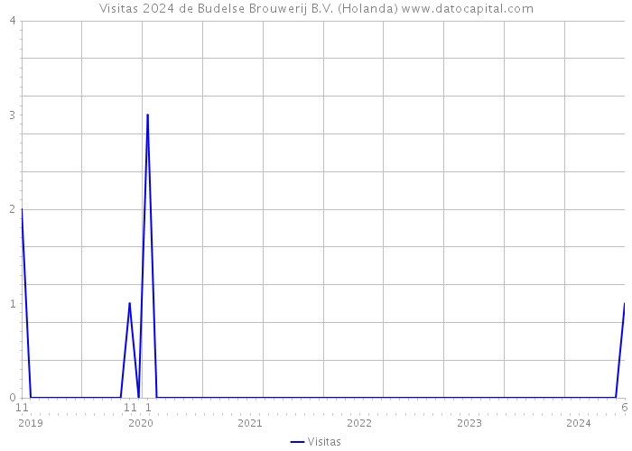 Visitas 2024 de Budelse Brouwerij B.V. (Holanda) 