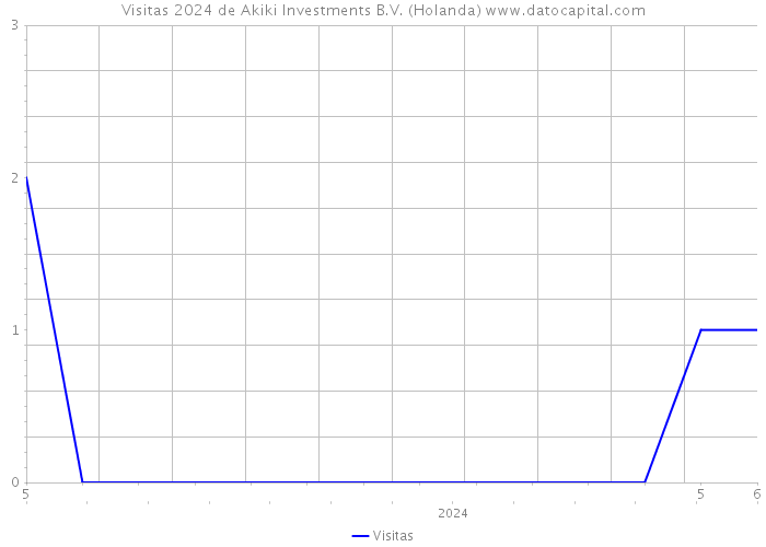 Visitas 2024 de Akiki Investments B.V. (Holanda) 