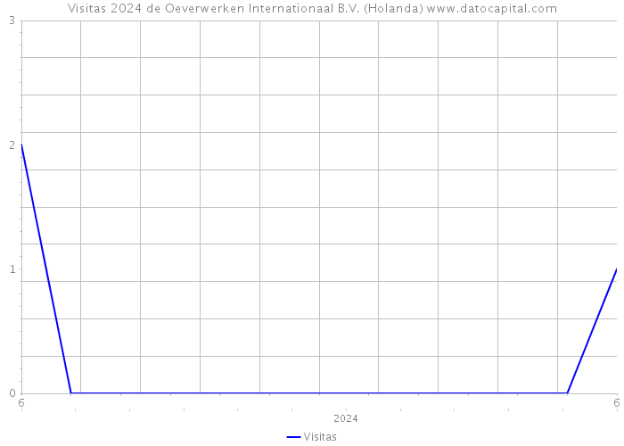 Visitas 2024 de Oeverwerken Internationaal B.V. (Holanda) 