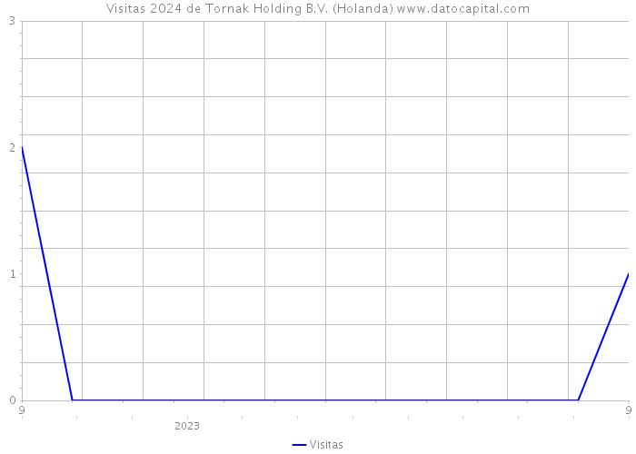 Visitas 2024 de Tornak Holding B.V. (Holanda) 