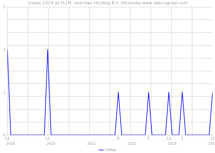 Visitas 2024 de H.J.M. Veerman Holding B.V. (Holanda) 