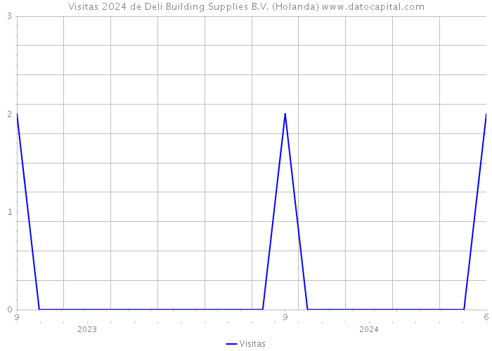 Visitas 2024 de Deli Building Supplies B.V. (Holanda) 