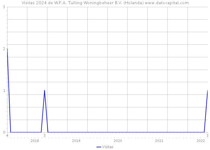 Visitas 2024 de W.F.A. Tulling Woningbeheer B.V. (Holanda) 