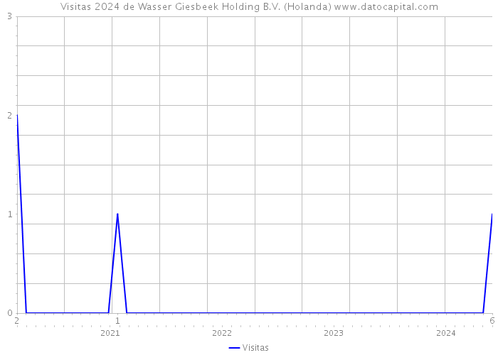 Visitas 2024 de Wasser Giesbeek Holding B.V. (Holanda) 