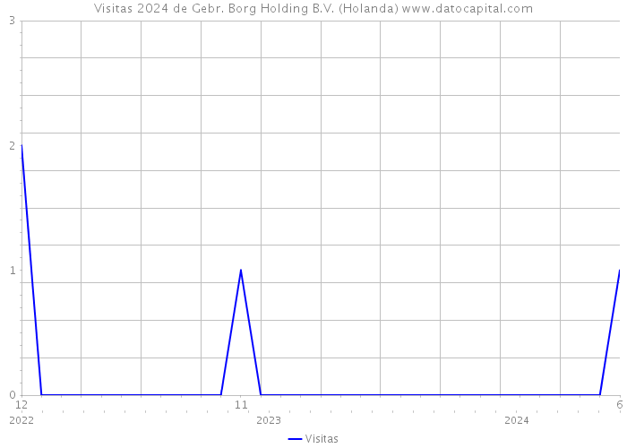 Visitas 2024 de Gebr. Borg Holding B.V. (Holanda) 