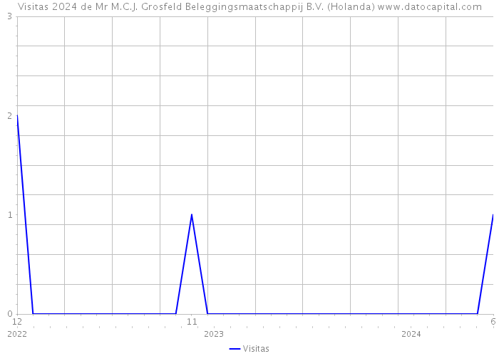 Visitas 2024 de Mr M.C.J. Grosfeld Beleggingsmaatschappij B.V. (Holanda) 