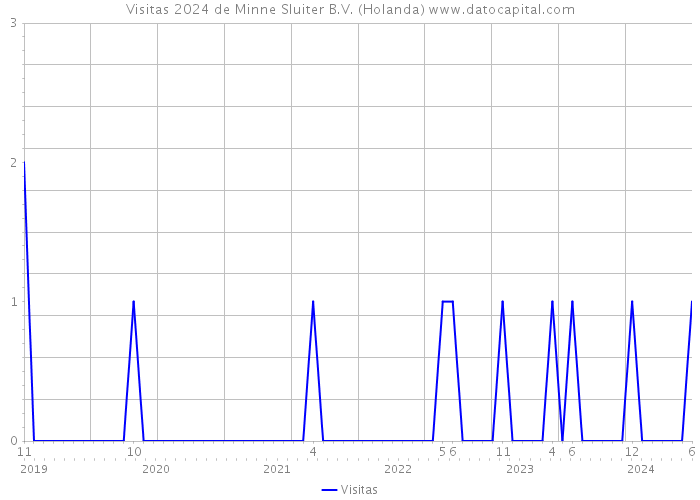 Visitas 2024 de Minne Sluiter B.V. (Holanda) 