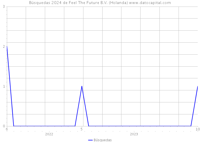 Búsquedas 2024 de Feel The Future B.V. (Holanda) 