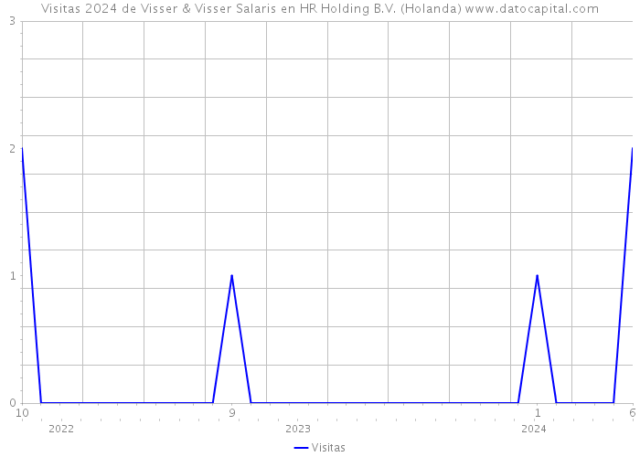 Visitas 2024 de Visser & Visser Salaris en HR Holding B.V. (Holanda) 