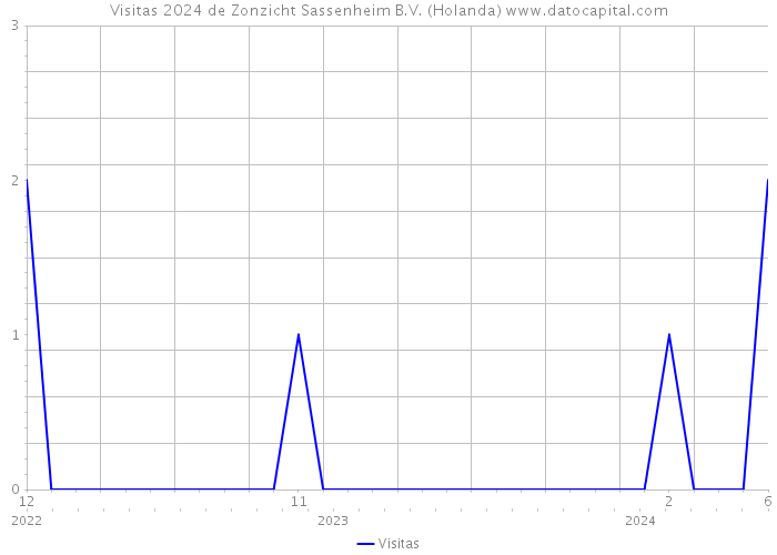 Visitas 2024 de Zonzicht Sassenheim B.V. (Holanda) 