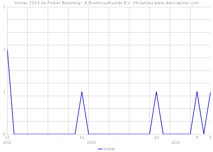 Visitas 2024 de Finker Belasting- & Boekhoudkunde B.V. (Holanda) 