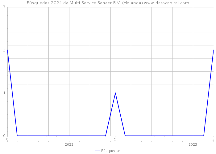 Búsquedas 2024 de Multi Service Beheer B.V. (Holanda) 