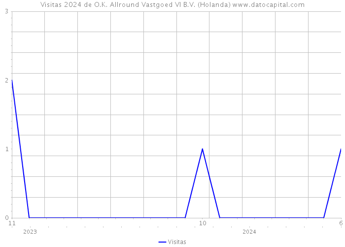 Visitas 2024 de O.K. Allround Vastgoed VI B.V. (Holanda) 