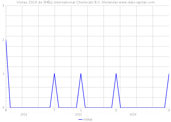 Visitas 2024 de SHELL International Chemicals B.V. (Holanda) 