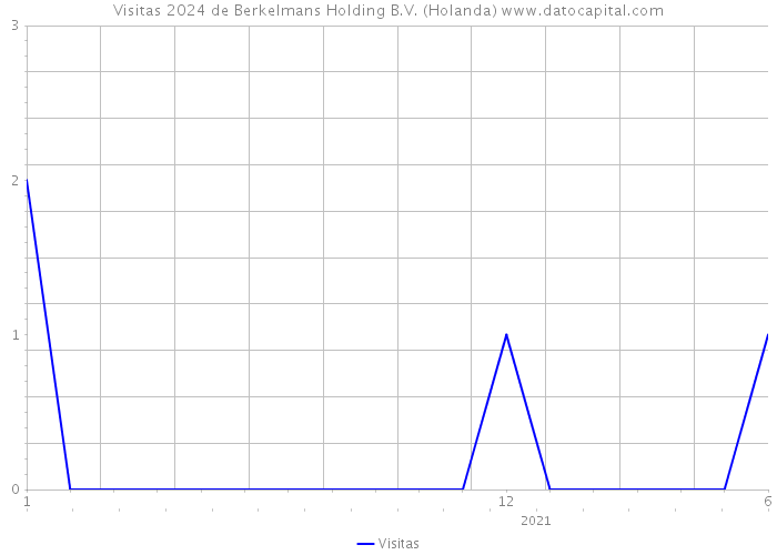 Visitas 2024 de Berkelmans Holding B.V. (Holanda) 