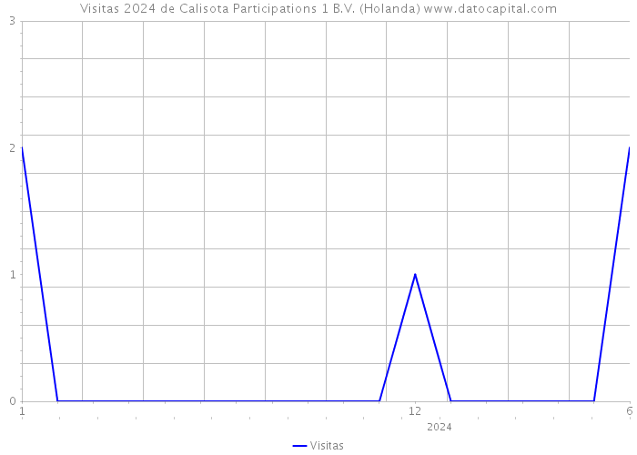 Visitas 2024 de Calisota Participations 1 B.V. (Holanda) 