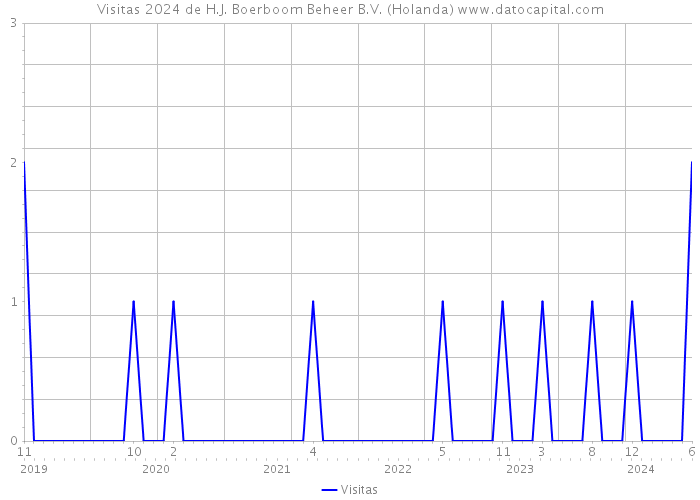 Visitas 2024 de H.J. Boerboom Beheer B.V. (Holanda) 