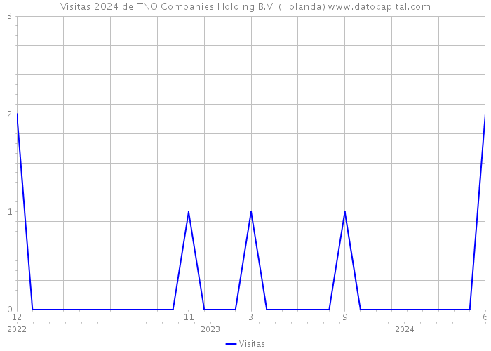 Visitas 2024 de TNO Companies Holding B.V. (Holanda) 