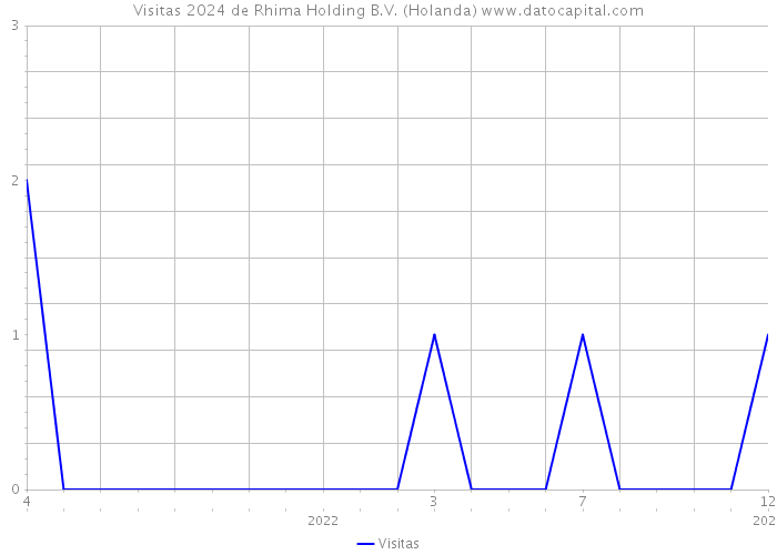 Visitas 2024 de Rhima Holding B.V. (Holanda) 