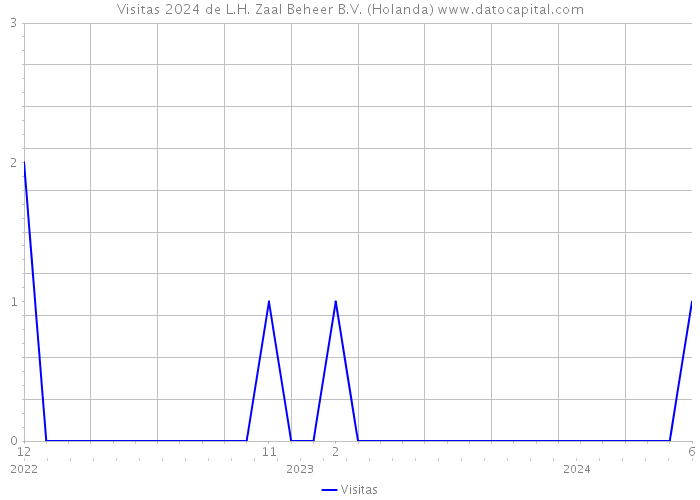 Visitas 2024 de L.H. Zaal Beheer B.V. (Holanda) 