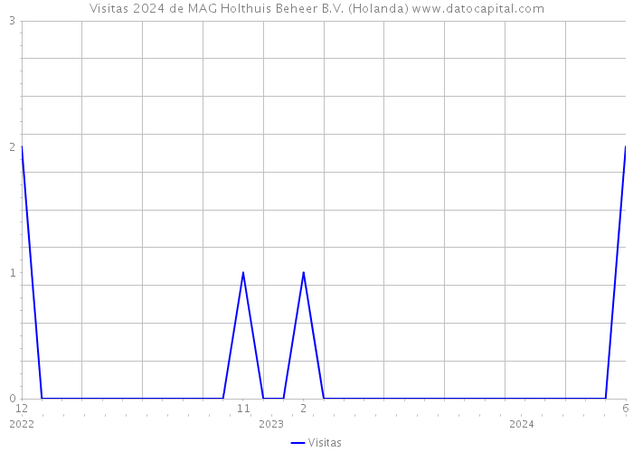 Visitas 2024 de MAG Holthuis Beheer B.V. (Holanda) 