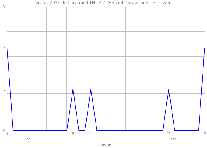 Visitas 2024 de Glasdraad TH1 B.V. (Holanda) 