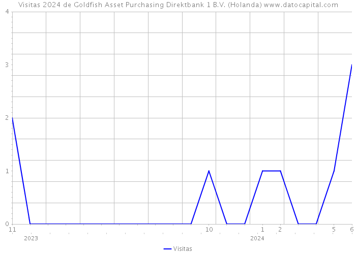 Visitas 2024 de Goldfish Asset Purchasing Direktbank 1 B.V. (Holanda) 