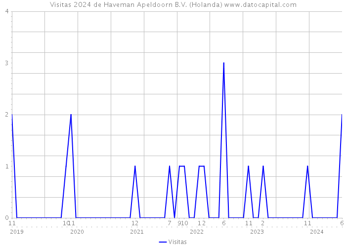 Visitas 2024 de Haveman Apeldoorn B.V. (Holanda) 