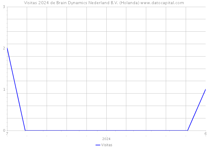 Visitas 2024 de Brain Dynamics Nederland B.V. (Holanda) 