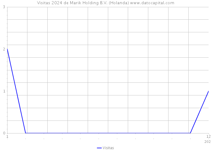 Visitas 2024 de Marik Holding B.V. (Holanda) 