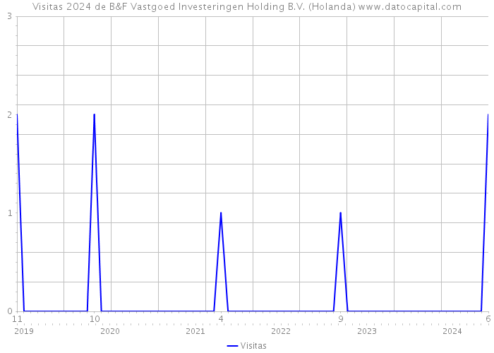 Visitas 2024 de B&F Vastgoed Investeringen Holding B.V. (Holanda) 