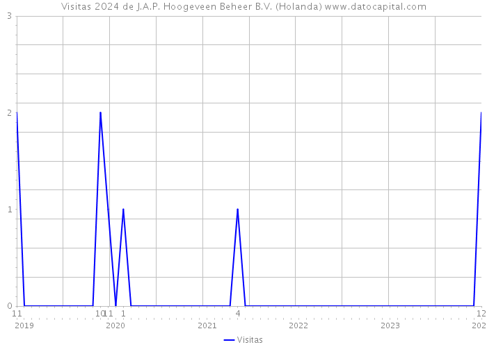 Visitas 2024 de J.A.P. Hoogeveen Beheer B.V. (Holanda) 