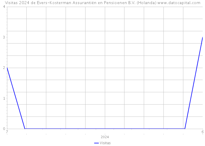 Visitas 2024 de Evers-Kosterman Assurantiën en Pensioenen B.V. (Holanda) 