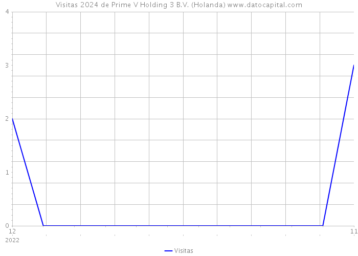 Visitas 2024 de Prime V Holding 3 B.V. (Holanda) 