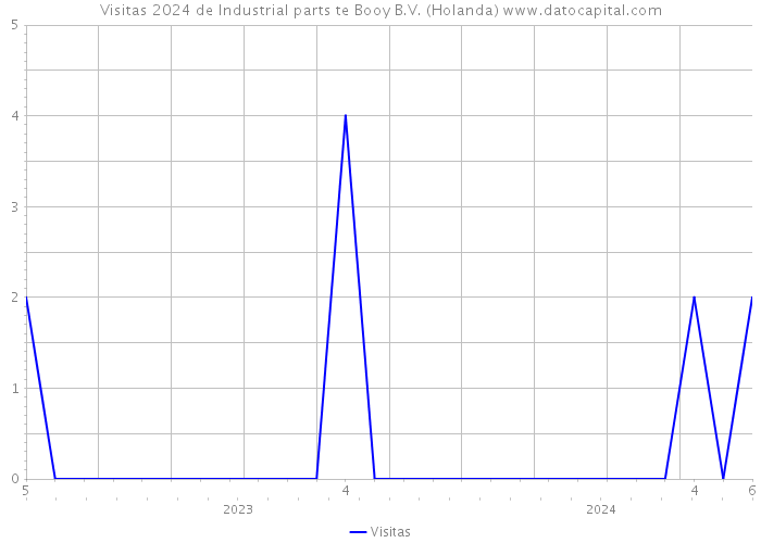 Visitas 2024 de Industrial parts te Booy B.V. (Holanda) 