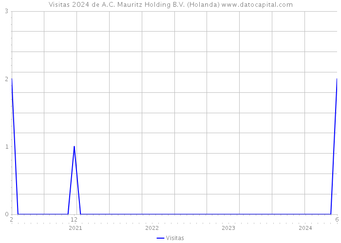 Visitas 2024 de A.C. Mauritz Holding B.V. (Holanda) 