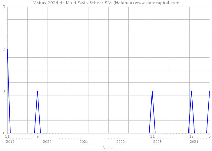 Visitas 2024 de Multi Fysio Beheer B.V. (Holanda) 